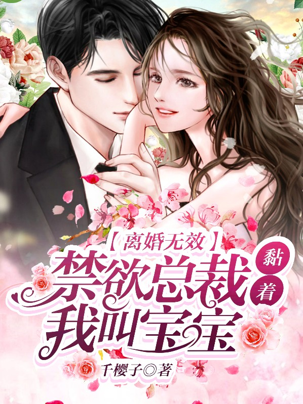 总裁离婚无效 小说