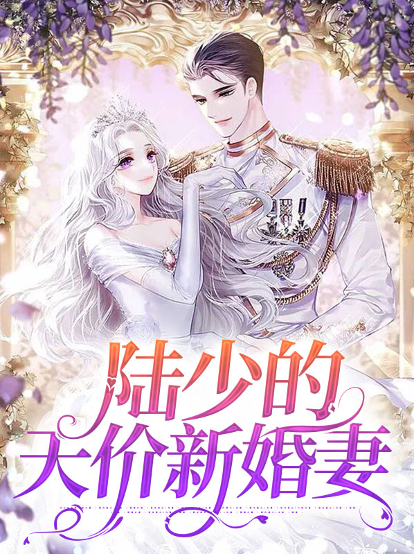 天价婚宠:陆少暖婚甜妻