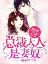 盛世婚宠:总裁大人不好惹