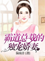 霸道总裁的独宠娇妻电视剧在线观看