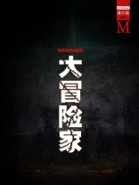 大冒险家（谜小说系列）