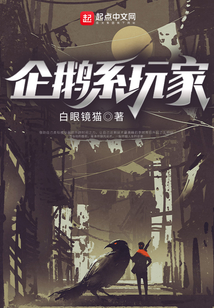 企鹅系玩家
