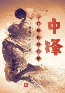 我的模板真的是中锋小说