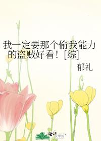 我一定要那个偷我能力的盗贼好看百度云
