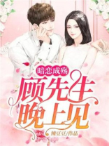 暗恋成殇:顾先生,晚上见 小说