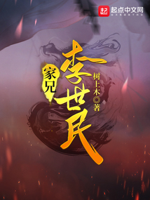 家兄李世民小说免费阅读无弹窗