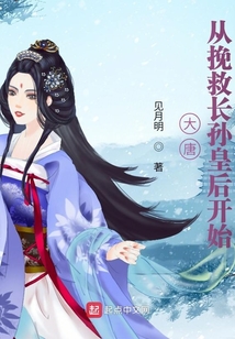 大唐从挽救长孙皇后开始 第501章