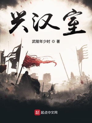 兴汉室小说全文免费阅读
