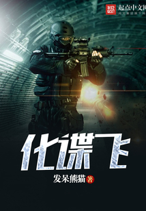 化谍飞小说百度云