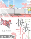 撩表寸心小说免费阅读全文