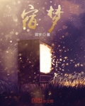 宿梦爝