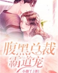 腹黑总裁霸道宠杜亦寒免费阅读