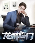 龙婿临门卓云