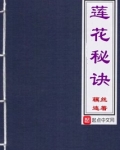 莲花秘诀小说多钱一本