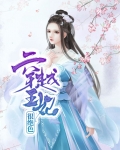 穿越王妃很绝色