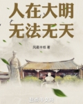 人在大明,无法无天起点