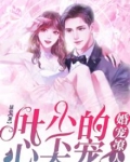 叶少宠婚缠爱追妻不太晚