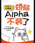 娇弱alpha不装了[女a男o]笔趣阁