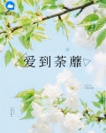 爱到荼蘼花落了 是萍萍啊