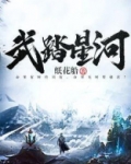 武踏星河笔趣阁无弹窗