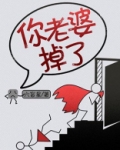 知乎傅总你老婆掉了