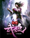 至尊武魂动漫