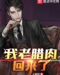 我老腊肉回来了TXT下载
