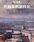 四合院，开局采购副科长