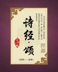 诗经颂的内容