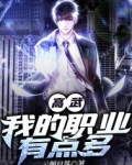 高武：我的职业有点多