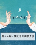 宠入心扉:黑化老公疼妻无度