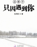 这辈子只因遇到你
