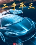 二手车王海滨