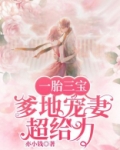 一胎三宝爹地宠妻超给力傅