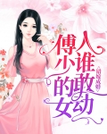 错嫁世子妃傅承瑾