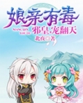 娘亲有毒:邪皇,宠翻天