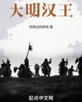 大明汉王结局