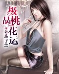极品桃花运免费阅读小说