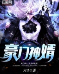 豪门神婿 爆火D
