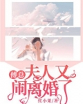 傅总,夫人又闹离婚了短剧全集