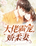 大佬宠妻超给力