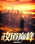 政道巅峰小说