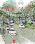 四合院之情满四合院的内容