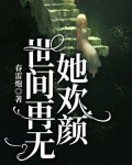 世间再无她欢颜林暖和陆文渊