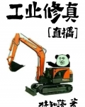 工业修真[直播]百度网盘