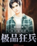 绝色总裁的极品狂兵 百度百科