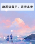 腹黑狐狸呆萌妻