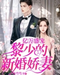 亿万盛宠:黎少的新婚娇妻小说