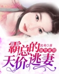 强势锁婚:霸道总裁强势宠