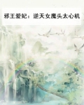 邪王的逆天妃